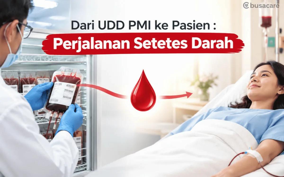 Dari UDD PMI ke Pasien, Perjalanan Setetes Darah