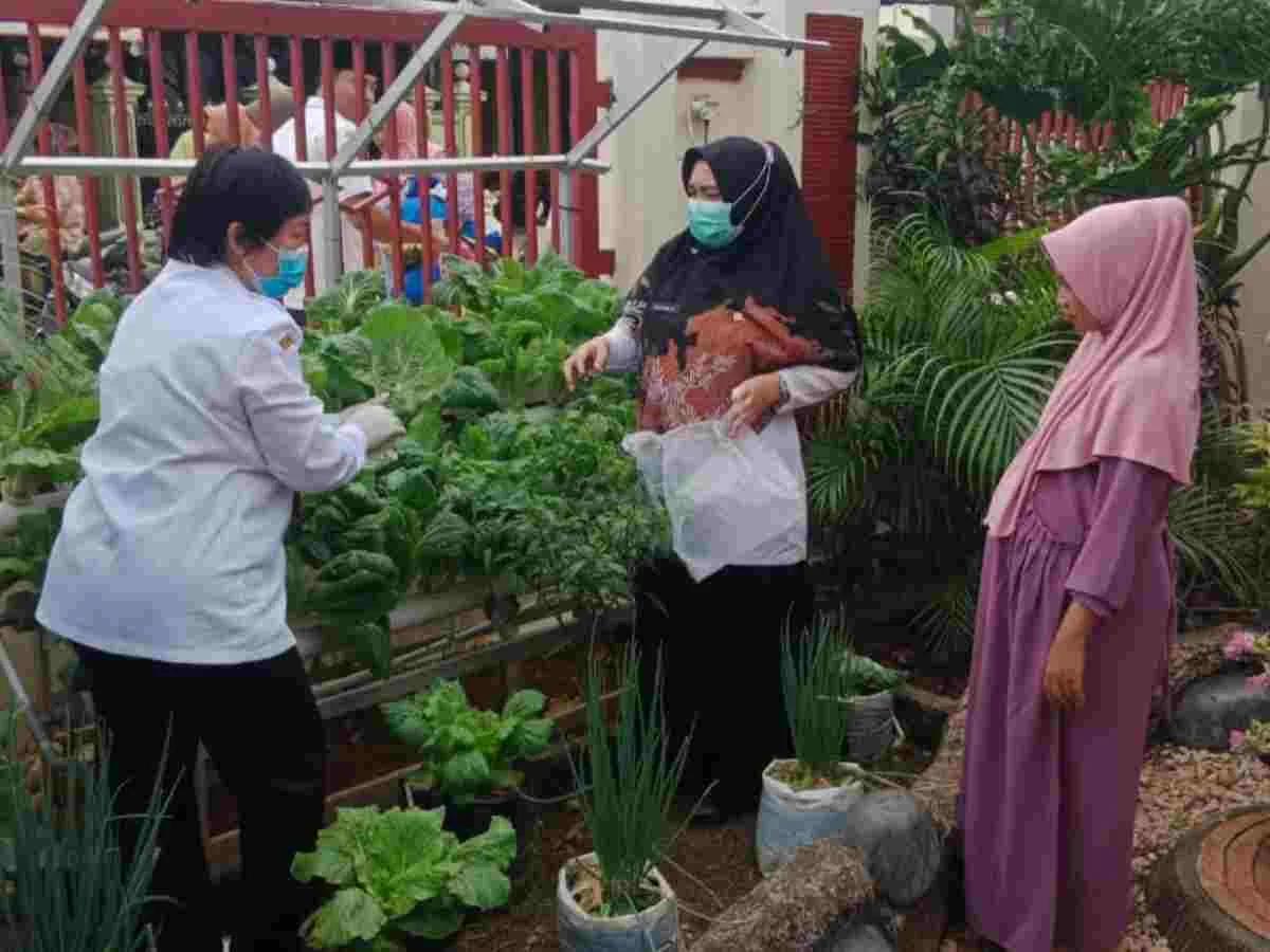 Pekarangan Sehat Selamatkan Ibu dan Bayi dari Anemia (KASIH SEIBA) Puskemas Gapura