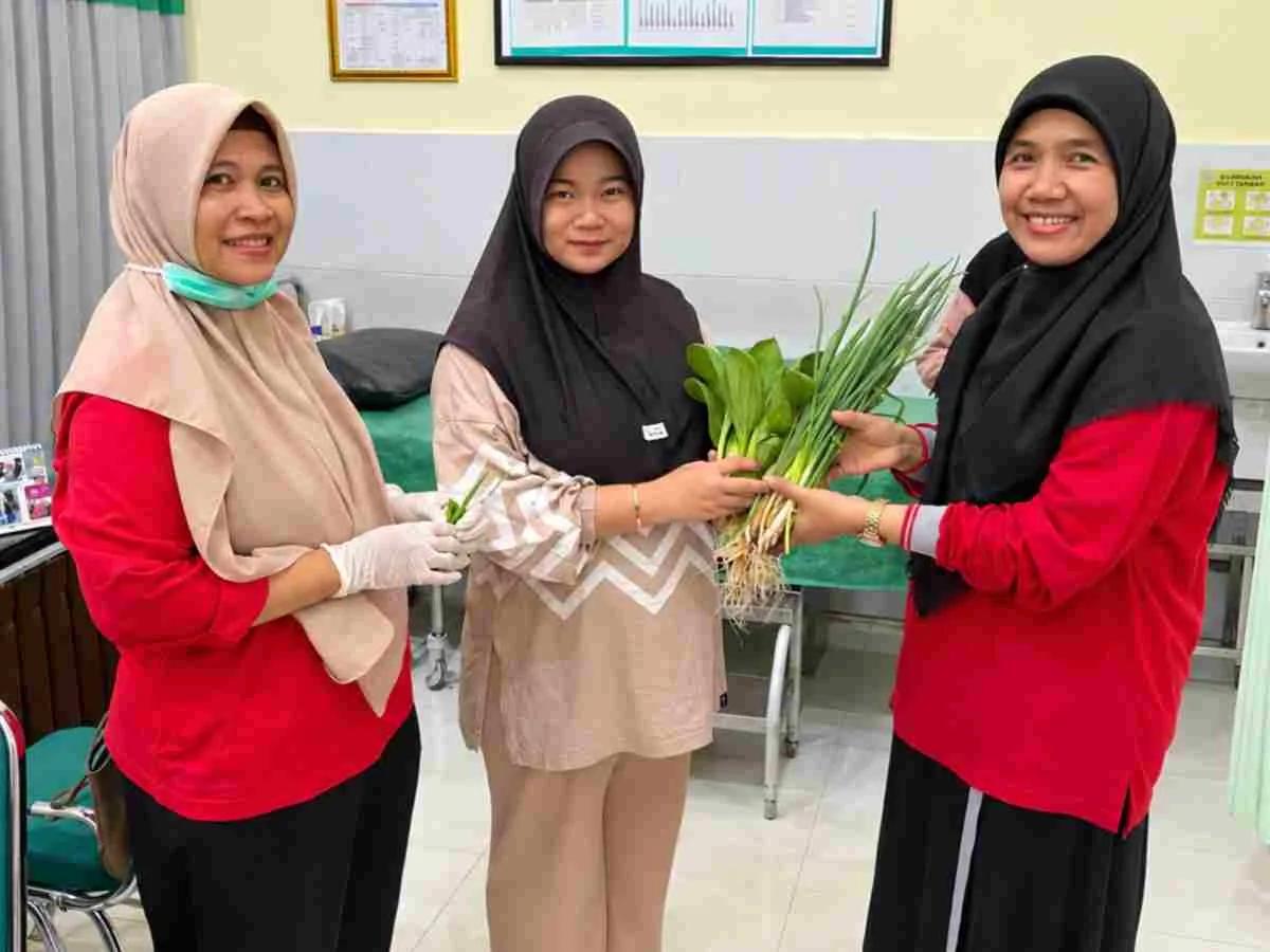 Pekarangan Sehat Selamatkan Ibu dan Bayi dari Anemia (KASIH SEIBA) Puskemas Gapura