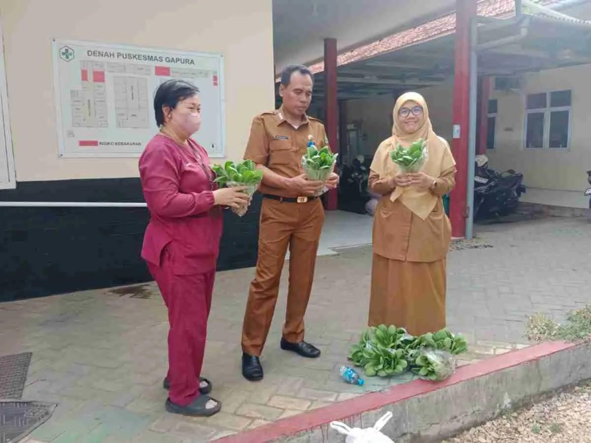 Pekarangan Sehat Selamatkan Ibu dan Bayi dari Anemia (KASIH SEIBA) Puskemas Gapura